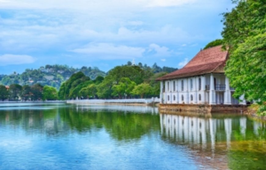 6 Days The Essence of Sri Lanka Tour