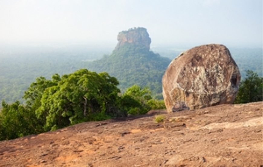 6 Days The Essence of Sri Lanka Tour