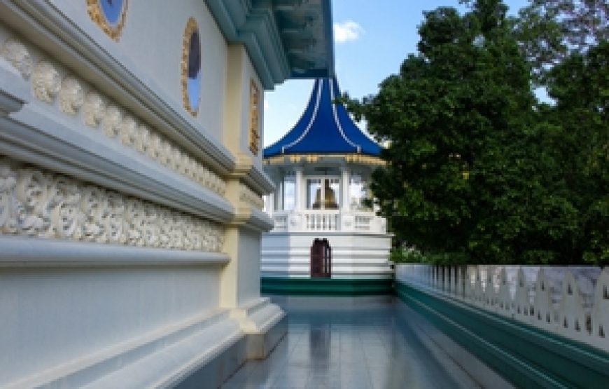 Discover the Essence of Sri Lanka
