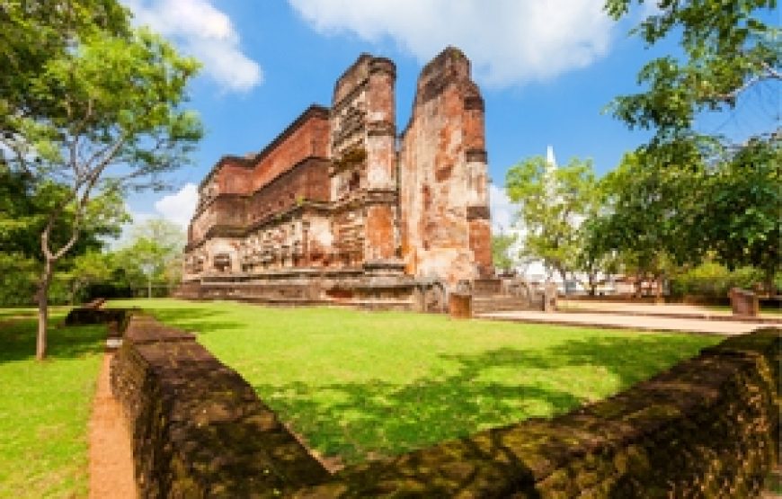 Discover the Essence of Sri Lanka