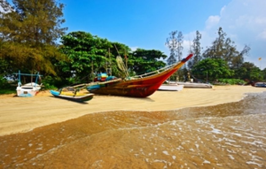 9 Days Sri Lanka Experience