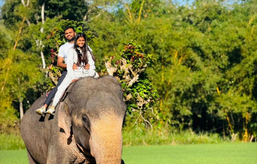 5 Days & 4 Nights Sri Lanka